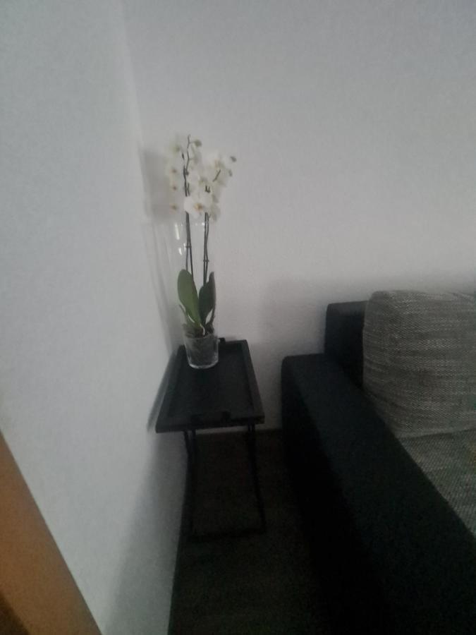 Paula Haus Trier Apartman Kültér fotó